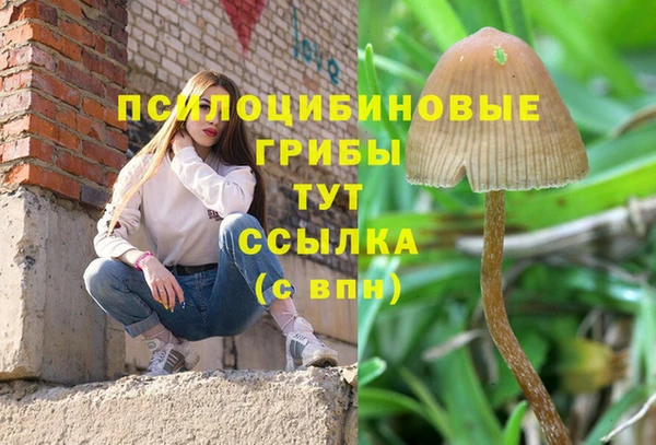 марки nbome Алексеевка