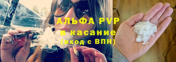 гидра Алексин