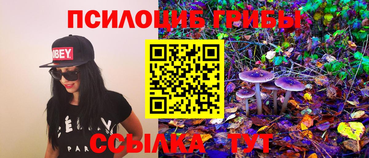 Галлюциногенные грибы MAGIC MUSHROOMS Менделеевск