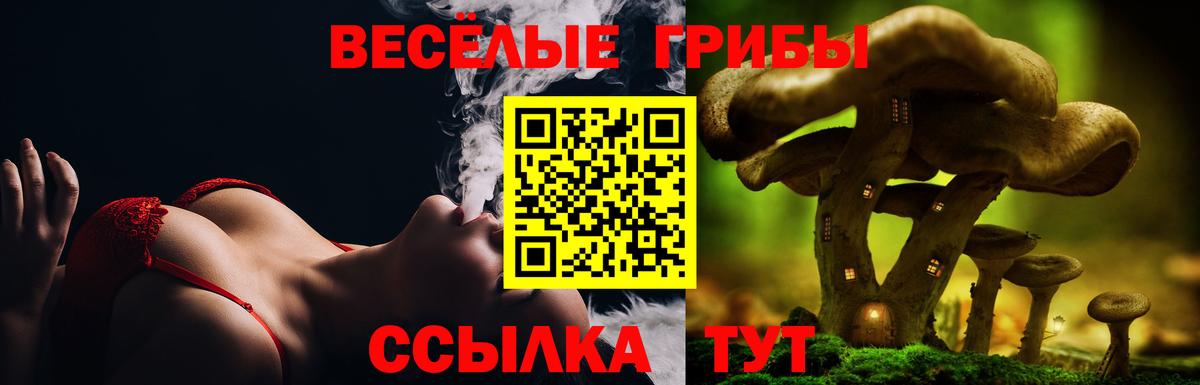 Псилоцибиновые грибы GOLDEN TEACHER  Вход с VPN  Менделеевск 